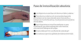 Fractura De Mano Y Mu eca Extremidad Superior PPTX fractura-de-mano-y-mu-eca-extremidad-superior-pptx
