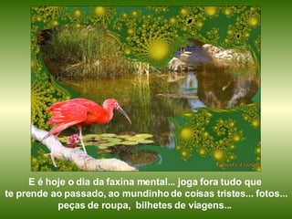 E é hoje o dia da faxina mental... joga fora tudo que  te prende ao passado, ao mundinho de coisas tristes... fotos... peças de roupa,  bilhetes de viagens...  