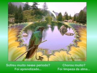 Sofreu muito nesse período?  Foi aprendizado...  Chorou muito?  Foi limpeza da alma...  