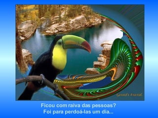 Ficou com raiva das pessoas?  Foi para perdoá-las um dia...  