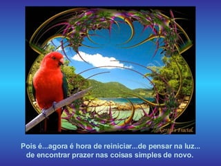 Pois é...agora é hora de reiniciar...de pensar na luz... de encontrar prazer nas coisas simples de novo.  