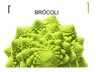 BRÓCOLI
 