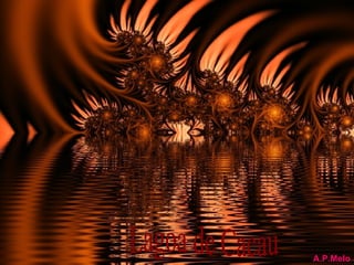 A.P.Melo Lagoa de Cacau 