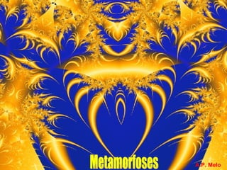 A.P. Melo Metamorfoses 