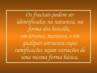 Os fractais podem ser identificados na natureza, na forma dos brócolis,  em árvores, mariscos, e em qualquer estrutura cujas ramificações sejam variações de uma mesma forma básica. 