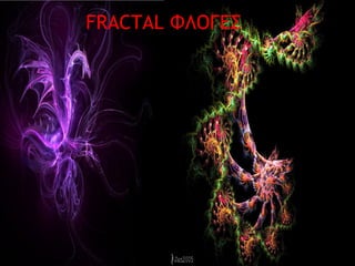 FRACTAL ΦΛΟΓΕΣ
 