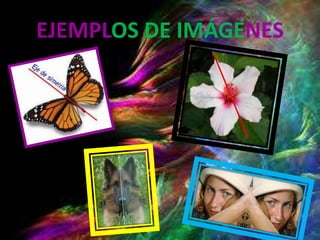 EJEMPLOS DE IMÁGENES
 