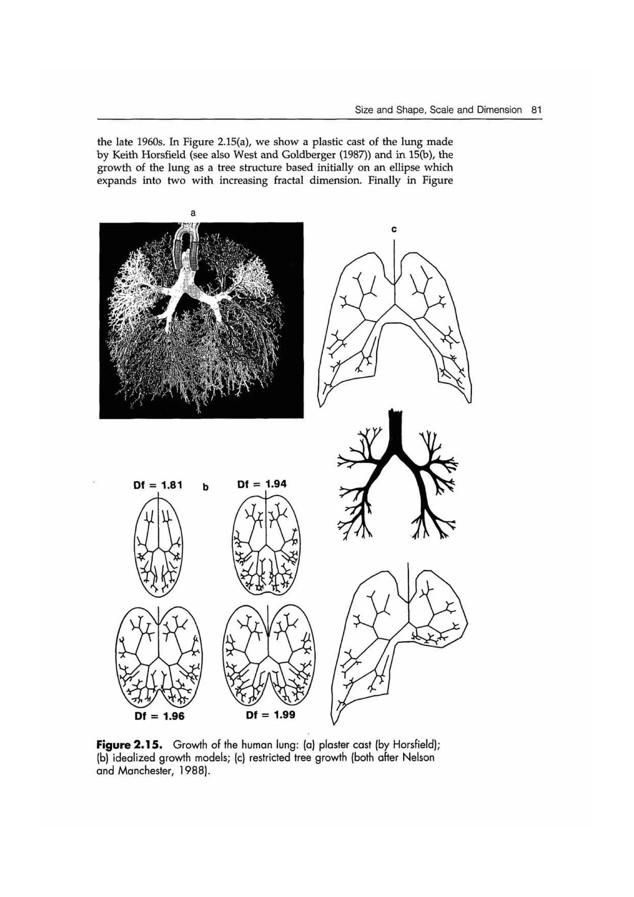 Fractal cities low resolution