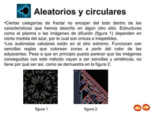 Ciertas categorías de fractal no encajan del todo dentro de las características que hemos descrito en algún otro sitio. Estructuras como el plasma o las imágenes de difusión (figura 1) dependen en cierta medida del azar, por lo cual son únicas e irrepetibles.  Los autómatas celulares están en el otro extremo. Funcionan con sencillas reglas que colorean zonas a partir del color de las adyacentes. Pese a que en principio pueda parecer que las imágenes conseguidas con este método vayan a ser sencillas y simétricas, no tiene por qué ser así, como se demuestra en la figura 2.  figura 1 figura 2 Aleatorios y circulares 