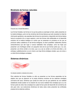 Modelado de formas naturales
Fracción de un fractal Mandelbrot.
Las formas fractales, las formas en la que las partes se asemejan al todo, están presentes en
la materia biológica, junto con las simetrías (las formas básicas que solo necesitan la mitad de
información genética) y las espirales (las formas de crecimiento y desarrollo de la forma básica
hacia la ocupación de un mayor espacio), como las formas más sofisticadas en el desarrollo
evolutivo de la materia biológica en cuanto que se presentan en procesos en los que se
producen saltos cualitativos en las formas biológicas, es decir posibilitan catástrofes (hechos
extraordinarios) que dan lugar a nuevas realidades más complejas, como las hojas que
presentan una morfología similar a la pequeña rama de la que forman parte que, a su vez,
presentan una forma similar a la rama, que a su vez es similar a la forma del árbol, y sin
embargo cualitativamente no es lo mismo una hoja (forma biológica simple), que una rama o
un árbol (forma biológica compleja).
Sistemas dinámicos
Un atractor extraño: el atractor de Lorenz.
Pero además las formas fractales no sólo se presentan en las formas espaciales de los
objetos sino que se observan en la propia dinámica evolutiva de los sistemas complejos
(ver teoría del caos). Dinámica que consta de ciclos (en los que partiendo de una realidad
establecida simple acaban en la creación de una nueva realidad más compleja) que a su vez
forman parte de ciclos más complejos los cuales forman parte del desarrollo de la dinámica de
otro gran ciclo. Las evoluciones dinámicas de todos estos ciclos presentan las similitudes
propias de los sistemas caóticos.
 