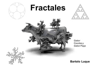 Fractales  
Bartolo  Luque
Gabor
Csordas y  
Gabor Papp
 