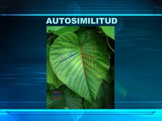 AUTOSIMILITUD 