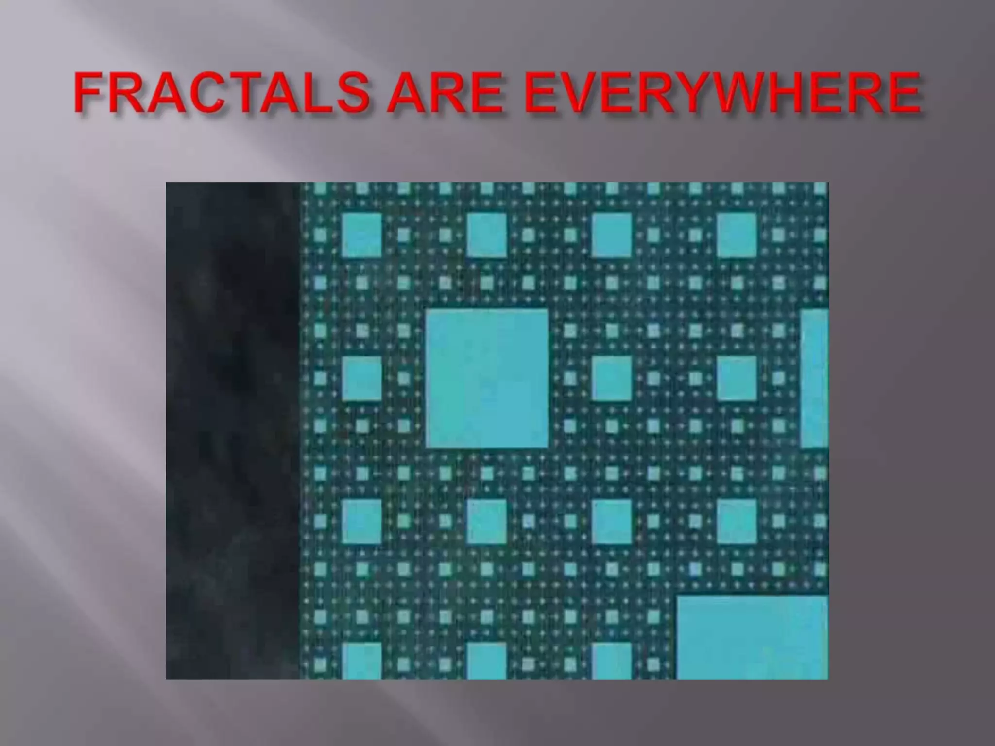 FRACTALS ARE EVERYWHERE