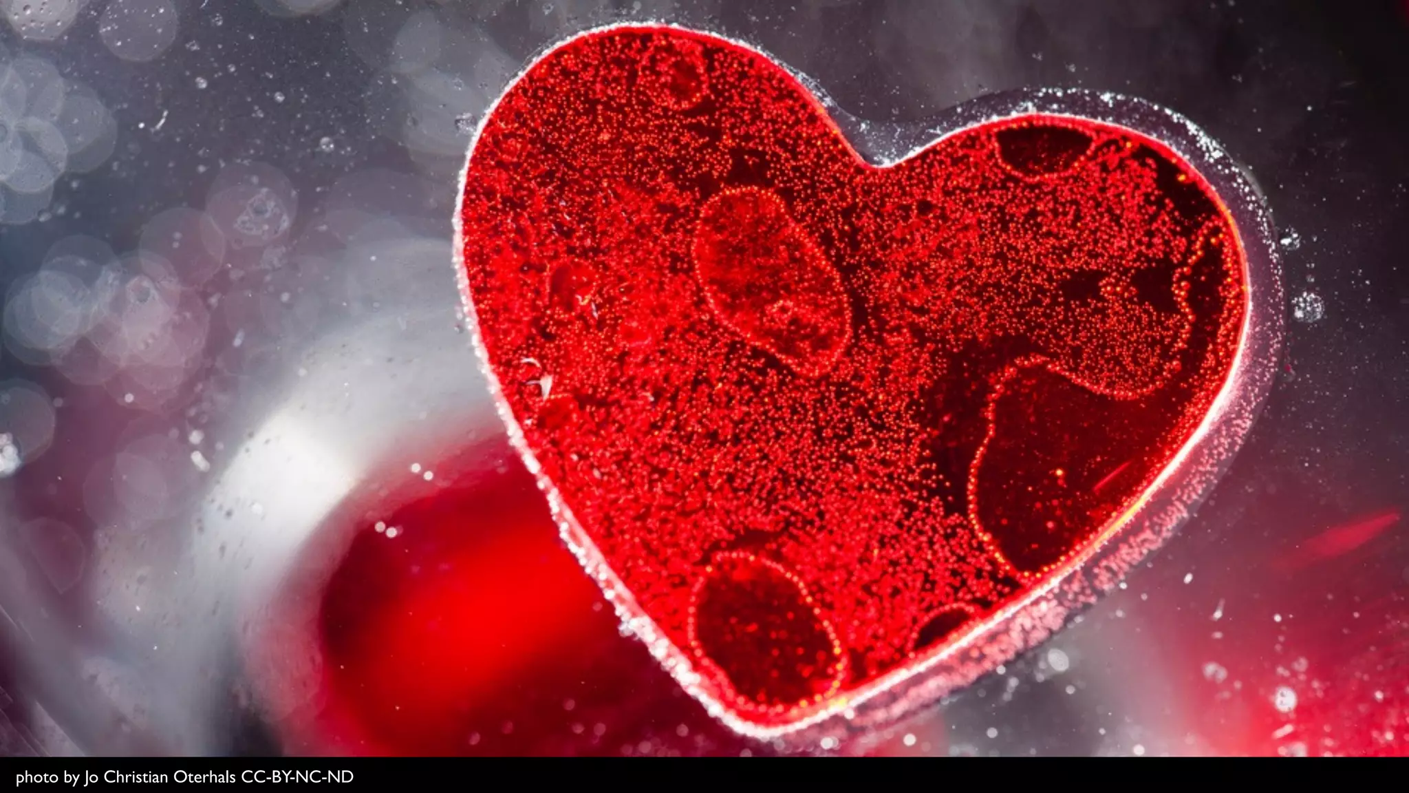 photo by Jo Christian Oterhals CC-BY-NC-ND
 