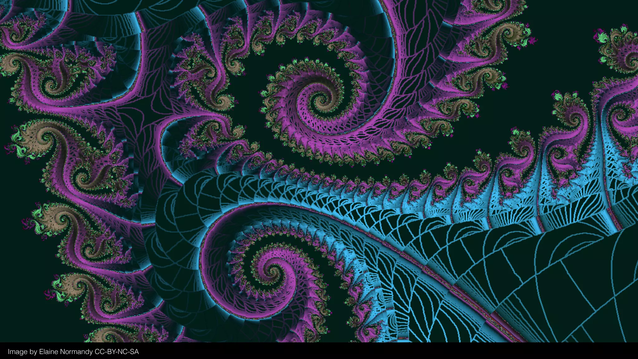 Image by Elaine Normandy CC-BY-NC-SA
 