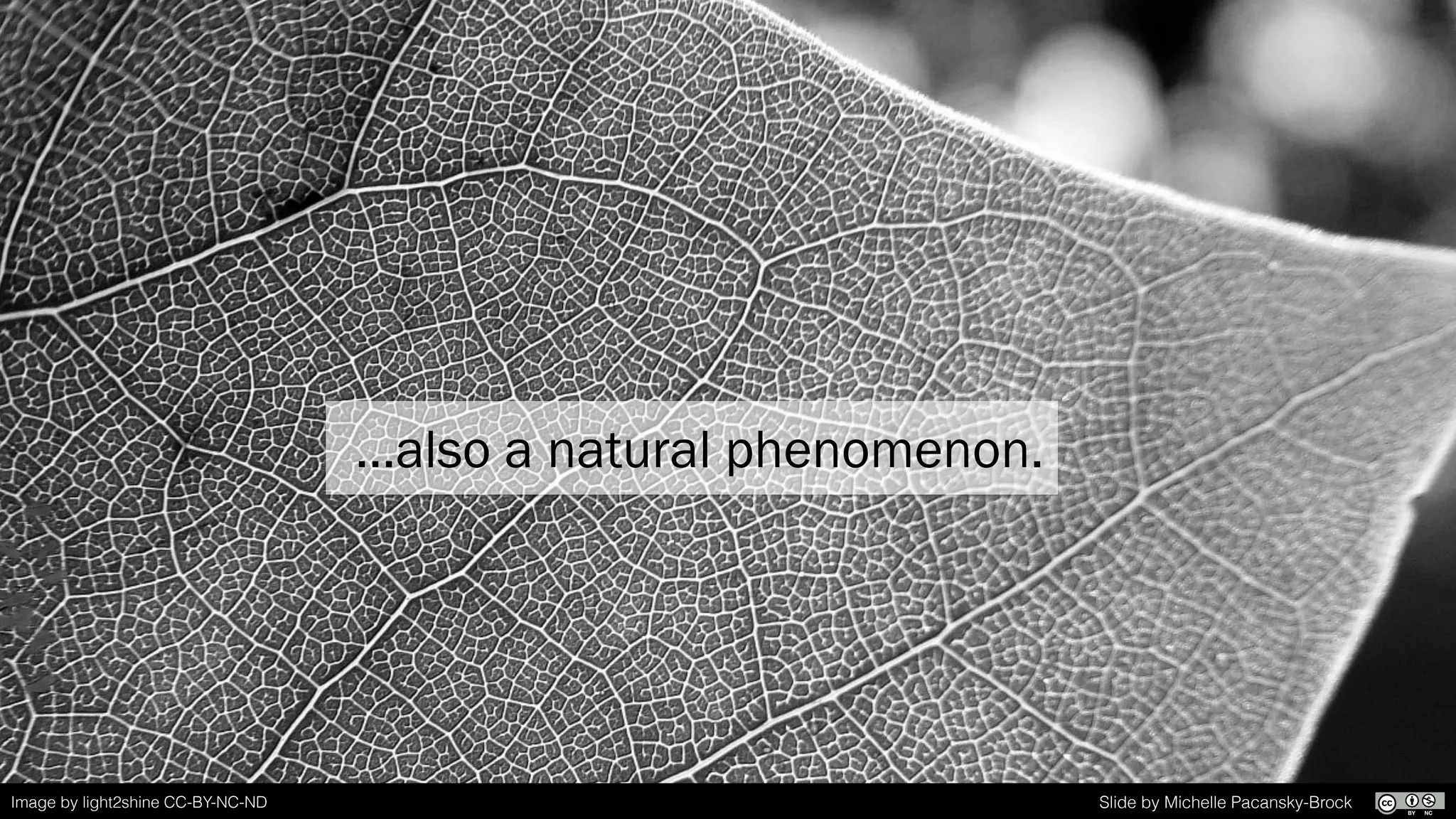 Image by Fernando Matias CC-BY-NC-NDImage by Norman CC-BY
…also a natural phenomenon.
Slide by Michelle Pacansky-BrockImage by light2shine CC-BY-NC-ND
 