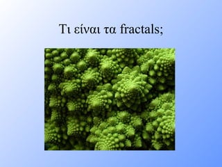 Τι είναι τα  fractals; 