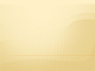 ο μαγικός κόσμος των Fractals
