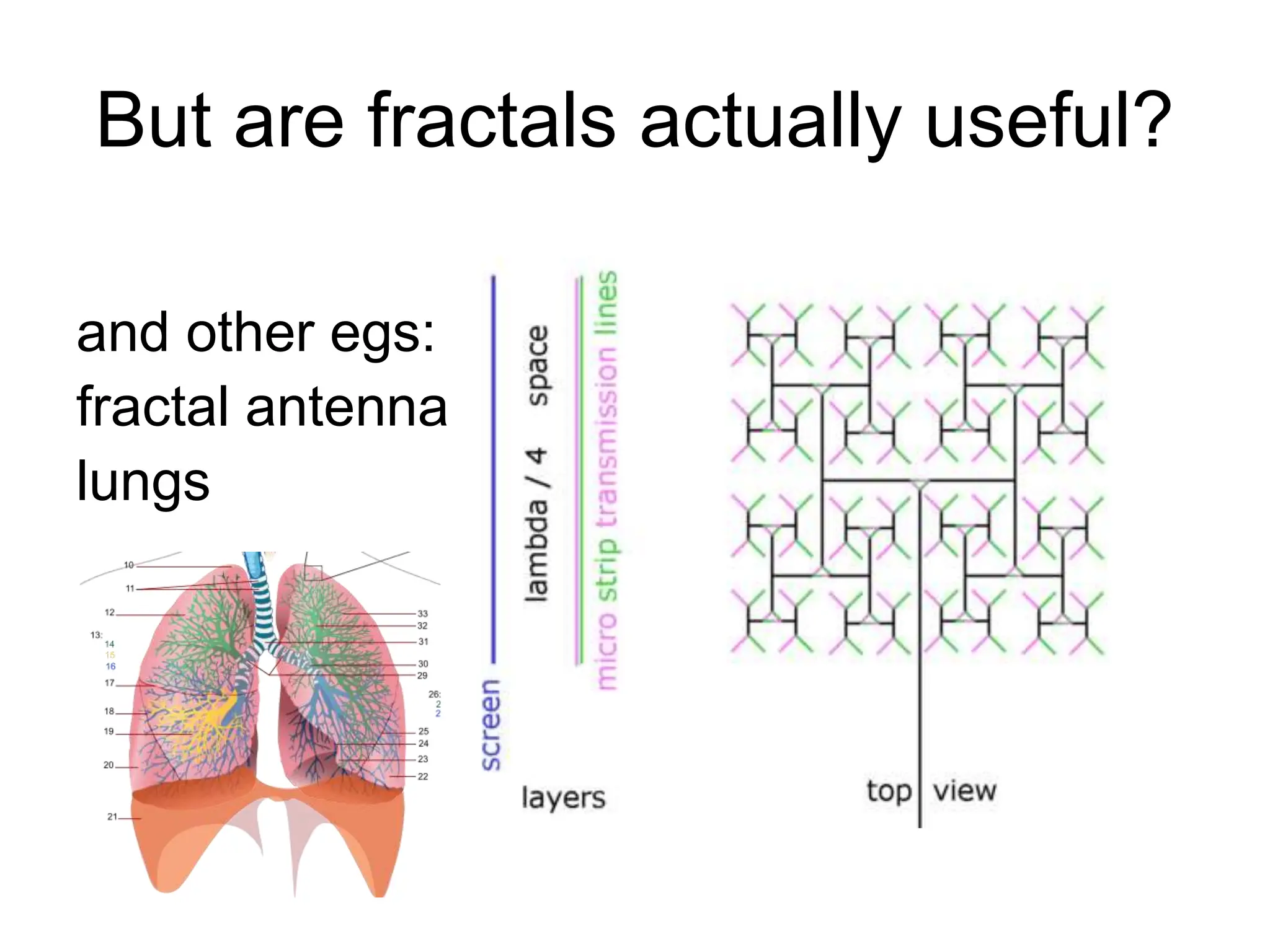 But are fractals actually useful?
and other egs:
fractal antenna
lungs
 