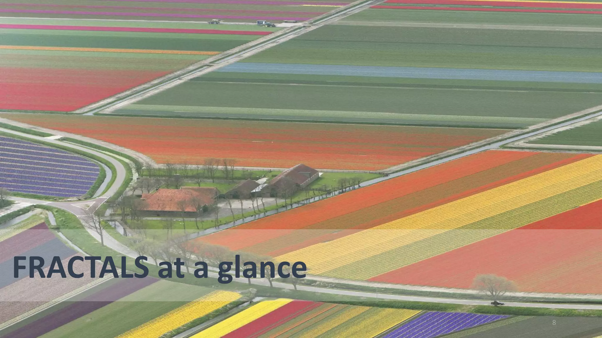 8 
FRACTALS at a glance 
 