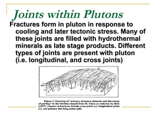 Joints within Plutons
Fractures form in pluton in response toFractures form in pluton in response to
cooling and later tectonic stress. Many ofcooling and later tectonic stress. Many of
these joints are filled with hydrothermalthese joints are filled with hydrothermal
minerals as late stage products. Differentminerals as late stage products. Different
types of joints are present with plutontypes of joints are present with pluton
(i.e. longitudinal, and cross joints((i.e. longitudinal, and cross joints(
 