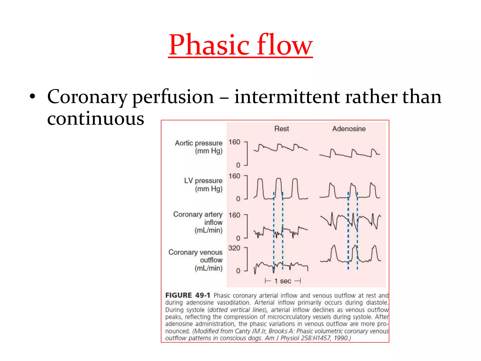 Phasic flow
• Coronary perfusion – intermittent rather than
continuous
 