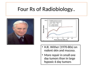 Fractionated Radiation and Dose Rate Effect Dr Syed Aman | PPTX