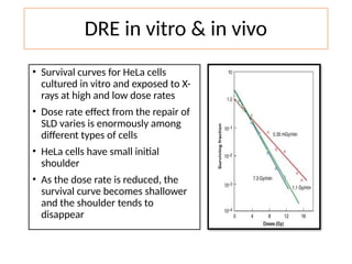 Fractionated Radiation and Dose Rate Effect Dr Syed Aman | PPTX