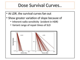 Fractionated Radiation and Dose Rate Effect Dr Syed Aman | PPTX