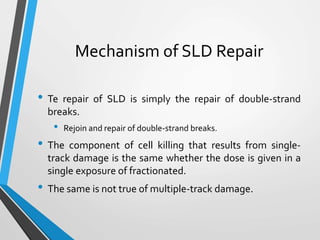 Mechanism of SLD Repair
• Te repair of SLD is simply the repair of double-strand
breaks.
• Rejoin and repair of double-strand breaks.
• The component of cell killing that results from single-
track damage is the same whether the dose is given in a
single exposure of fractionated.
• The same is not true of multiple-track damage.
 