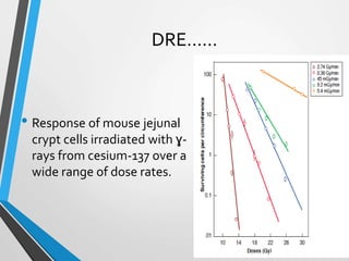• Response of mouse jejunal
crypt cells irradiated with ɣ-
rays from cesium-137 over a
wide range of dose rates.
DRE……
 