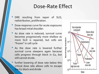 Dose-Rate Effect
• DRE resulting from repair of SLD,
redistribution, proliferation.
• Dose-response curve for acute exposures
has broad initial shoulder.
• As dose rate is reduced, survival curve
becomes progressively more shallow as
more SLD is repaired, but cells are
“frozen” in cell cycle
• As the dose rate is lowered further
survival curve steepens again because
cells progress through block in G2, but
still cannot divide.
• further lowering of dose rate below this
critical dose rate allows cells to escape
the G2 block and divide
 