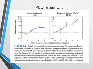 PLD repair …..
 