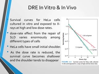 Fractionated radiation and dose rate effect