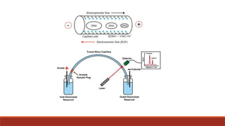 FRACTIONATION OF NUCLEIC ACID AND PROTEINS.pptx