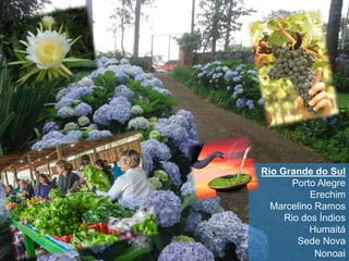 Rio Grande do Sul
Porto Alegre
Erechim
Marcelino Ramos
Rio dos Índios
Humaitá
Sede Nova
Nonoai
 