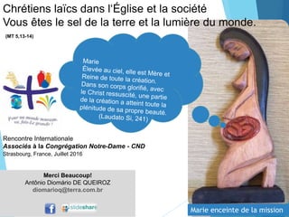 Merci Beaucoup!
Antônio Diomário DE QUEIROZ
diomarioq@terra.com.br
Chrétiens laïcs dans l‘Église et la société
Vous êtes le sel de la terre et la lumière du monde.
(MT 5,13-14)
Marie enceinte de la mission
Strasbourg, France, Juillet 2016
Rencontre Internationale
Associés à la Congrégation Notre-Dame - CND
 