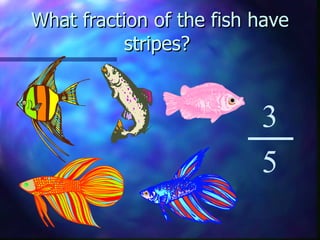 What fraction of the fish have stripes?  3 5 