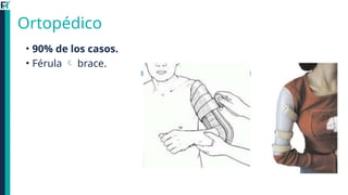 Femula Comprehensive Overview of Upper Limb Fractures: Diagnosis and Treatment ...