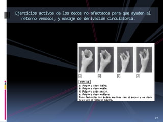 27
Ejercicios activos de los dedos no afectados para que ayuden al
retorno venosos, y masaje de derivación circulatoria.
 