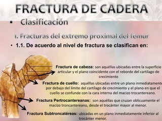 Fractura de cabeza: son aquéllas ubicadas entre la superficie
articular y el plano coincidente con el reborde del cartílago de
crecimiento
Fractura de cuello: aquéllas ubicadas entre un plano inmediatamente
por debajo del límite del cartílago de crecimiento y el plano en que el
cuello se confunde con la cara interna del macizo trocantereano.
Fractura Pertrocantereanas: son aquéllas que cruzan oblicuamente el
macizo troncantereano, desde el trocánter mayor al menor.
Fractura Subtroncatéreas: ubicadas en un plano inmediatamente inferior al
trocánter menor.
• 1.1. De acuerdo al nivel de fractura se clasifican en:
 
