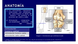 luxofractura de codo tipos de fracturas del humero distal.pptx