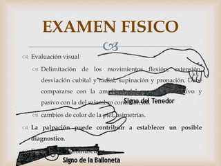  Evaluación visual
 Delimitación de los movimientos flexión, extensión,
desviación cubital y radial, supinación y pronación. Debe
compararse con la amplitud del movimiento activo y
pasivo con la del miembro contralateral.
 cambios de color de la piel, asimetrías.
 La palpación puede contribuir a establecer un posible
diagnostico.
 Evaluación neuromuscular
EXAMEN FISICO
 