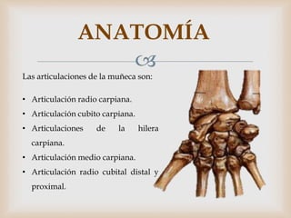 
ANATOMÍA
Las articulaciones de la muñeca son:
• Articulación radio carpiana.
• Articulación cubito carpiana.
• Articulaciones de la hilera
carpiana.
• Articulación medio carpiana.
• Articulación radio cubital distal y
proximal.
 