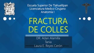 DR. Adan Alamilla
Tania
Laura E. Reyes Cerón
 