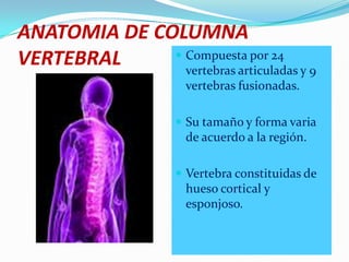 ANATOMIA DE COLUMNA
VERTEBRAL      Compuesta por 24
                vertebras articuladas y 9
                       vertebras fusionadas.

                      Su tamaño y forma varia
                       de acuerdo a la región.

                      Vertebra constituidas de
                       hueso cortical y
                       esponjoso.
 