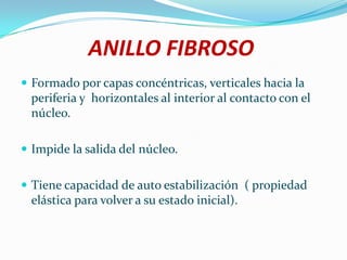 ANILLO FIBROSO
 Formado por capas concéntricas, verticales hacia la
 periferia y horizontales al interior al contacto con el
 núcleo.

 Impide la salida del núcleo.


 Tiene capacidad de auto estabilización ( propiedad
 elástica para volver a su estado inicial).
 
