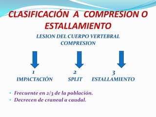 CLASIFICACIÓN A COMPRESION O
        ESTALLAMIENTO
             LESION DEL CUERPO VERTEBRAL
                     COMPRESION




         1                2             3
  IMPACTACIÓN           SPLIT     ESTALLAMIENTO

• Frecuente en 2/3 de la población.
• Decrecen de craneal a caudal.
 