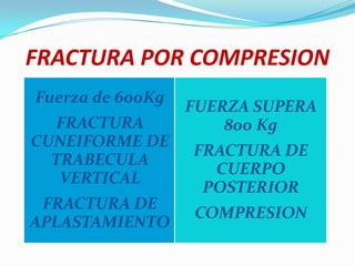 FRACTURA POR COMPRESION
Fuerza de 600Kg
                  FUERZA SUPERA
  FRACTURA            800 Kg
CUNEIFORME DE
                  FRACTURA DE
  TRABECULA
                    CUERPO
   VERTICAL
                   POSTERIOR
 FRACTURA DE
                  COMPRESION
APLASTAMIENTO
 