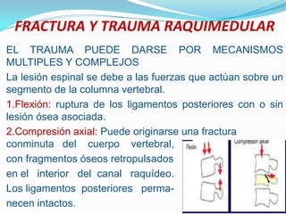 FRACTURA Y TRAUMA RAQUIMEDULAR
EL TRAUMA PUEDE DARSE POR MECANISMOS
MULTIPLES Y COMPLEJOS
La lesión espinal se debe a las fuerzas que actúan sobre un
segmento de la columna vertebral.
1.Flexión: ruptura de los ligamentos posteriores con o sin
lesión ósea asociada.
2.Compresión axial: Puede originarse una fractura
conminuta del cuerpo vertebral,
con fragmentos óseos retropulsados
en el interior del canal raquídeo.
Los ligamentos posteriores perma-
necen intactos.
 
